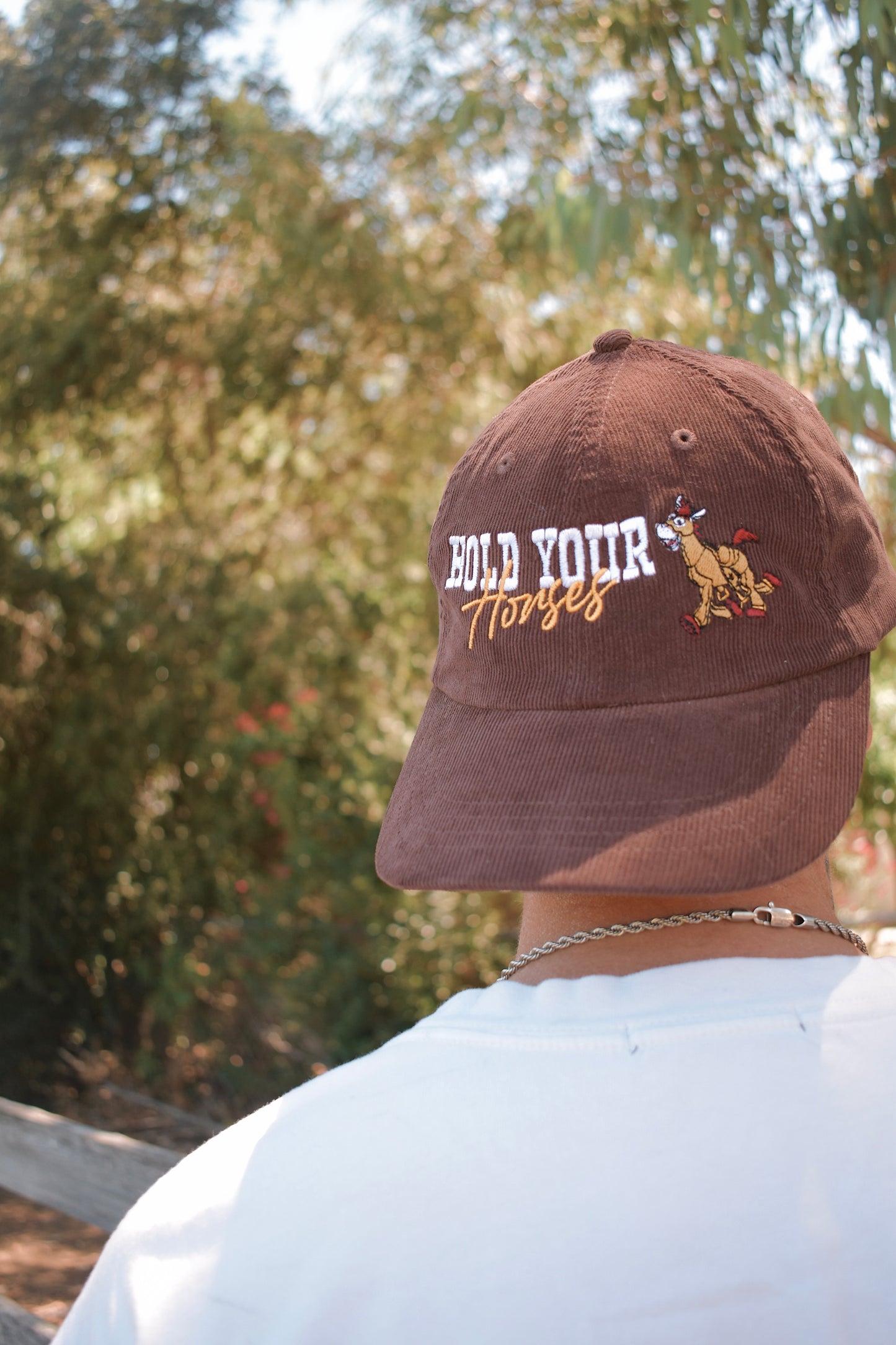 Hold Your Horses Hat
