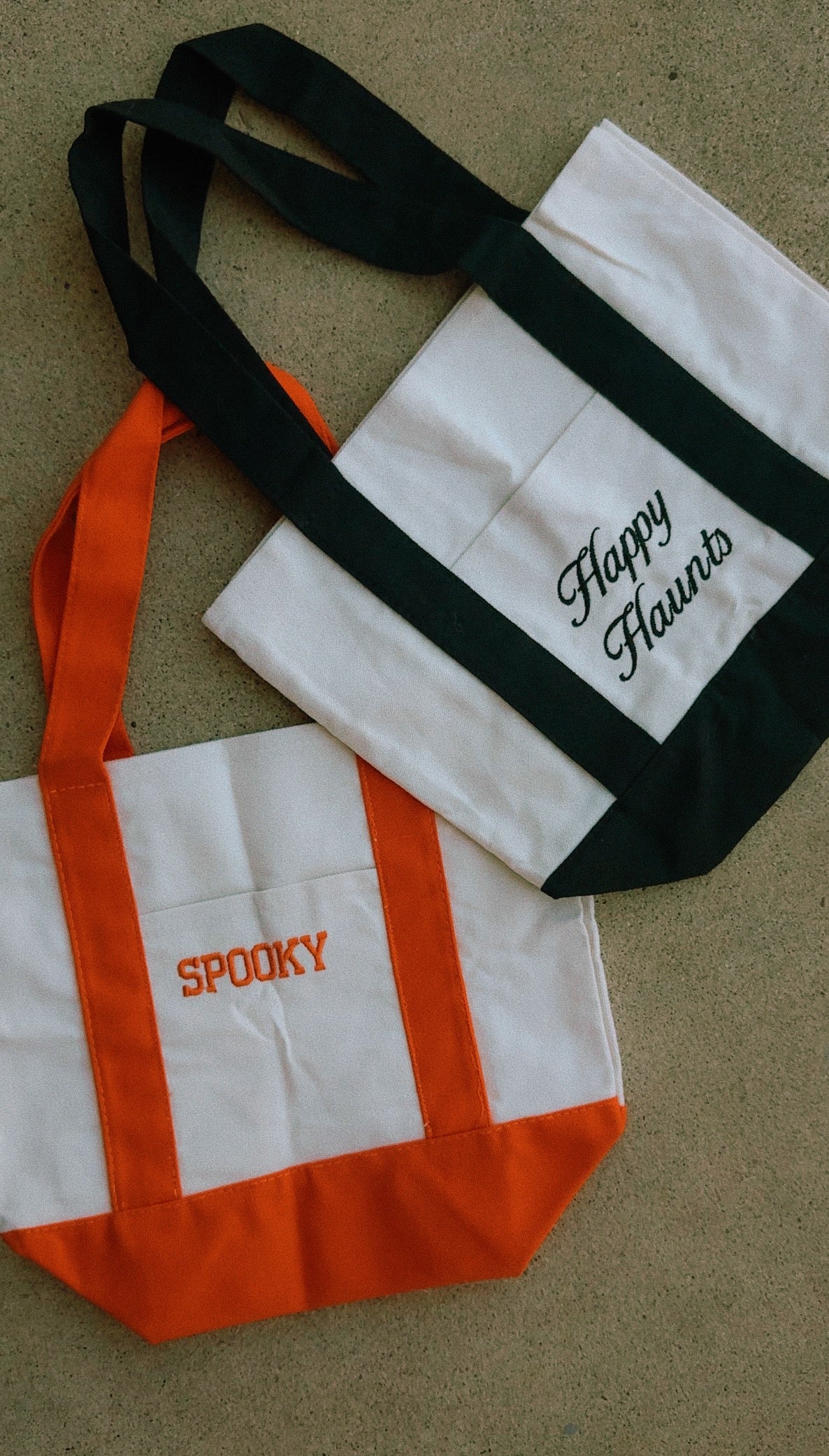 Happy Haunts Embroidered Canvas Tote