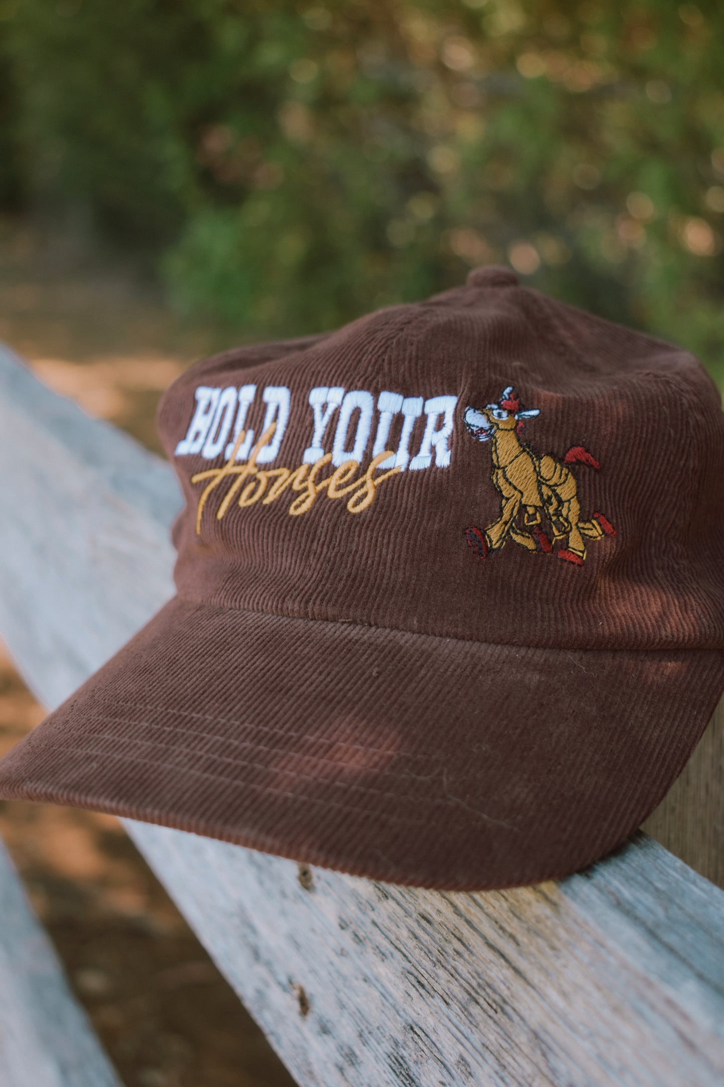 Hold Your Horses Hat