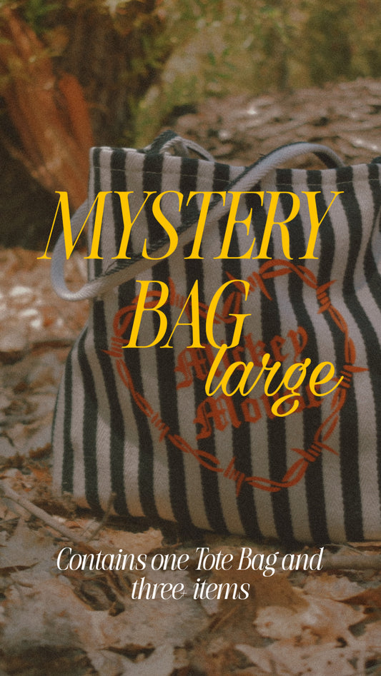 Large Mystery Bag