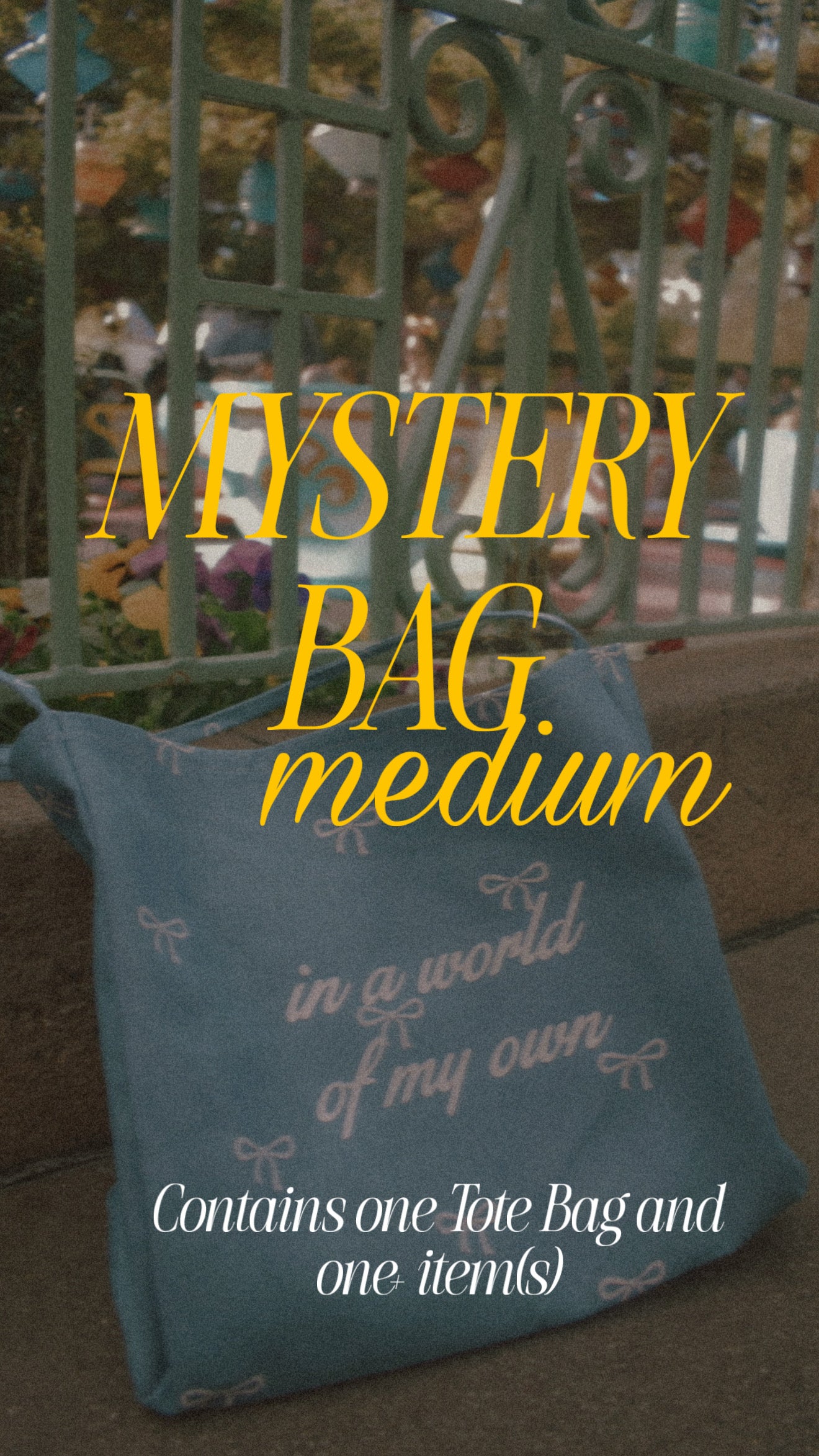 Medium Mystery Bag