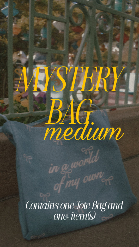 Medium Mystery Bag